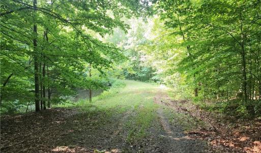 Photo #22 of River Bluff Farms, Tobaccoville, NC 15.6 acres