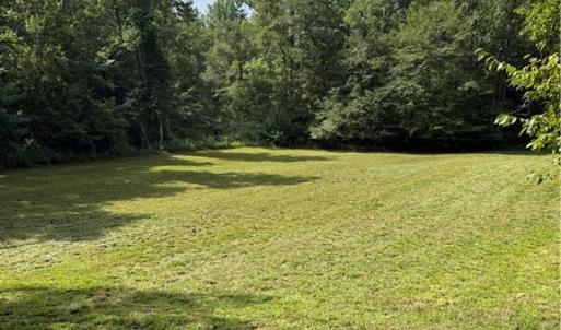 Meadow