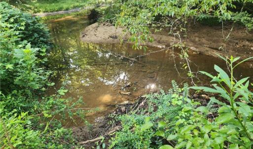 Photo #32 of River Bluff Farms, Tobaccoville, NC 15.6 acres