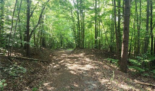 Photo #20 of River Bluff Farms, Tobaccoville, NC 15.6 acres