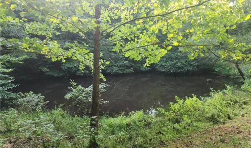 Photo #24 of River Bluff Farms, Tobaccoville, NC 15.6 acres