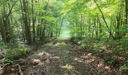 Photo #30 of River Bluff Farms, Tobaccoville, NC 15.6 acres