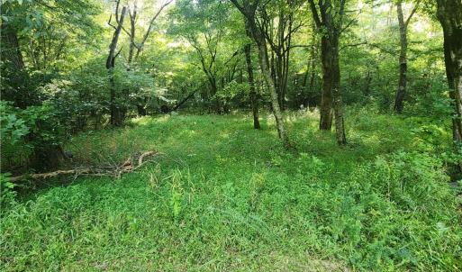 Photo #34 of River Bluff Farms, Tobaccoville, NC 15.6 acres