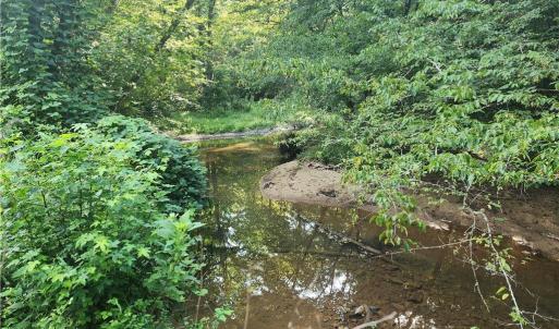 Photo #33 of River Bluff Farms, Tobaccoville, NC 15.6 acres
