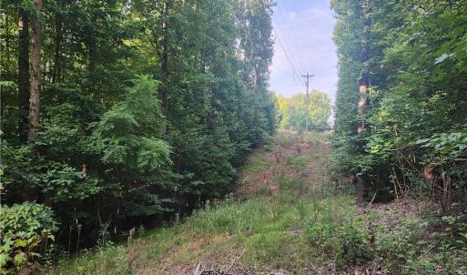 Photo #14 of River Bluff Farms, Tobaccoville, NC 15.6 acres