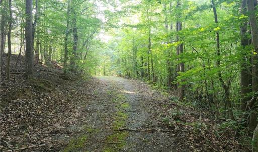 Photo #18 of River Bluff Farms, Tobaccoville, NC 15.6 acres