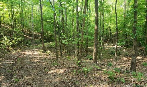 Photo #15 of River Bluff Farms, Tobaccoville, NC 15.6 acres