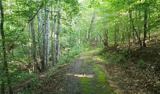 Photo #19 of River Bluff Farms, Tobaccoville, NC 15.6 acres