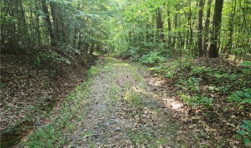 Photo #29 of River Bluff Farms, Tobaccoville, NC 15.6 acres
