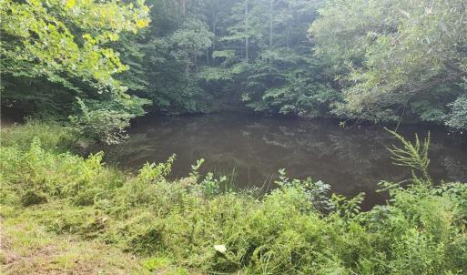Pond