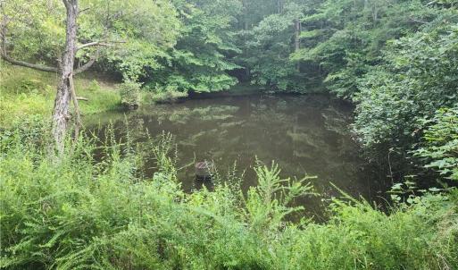 Photo #25 of River Bluff Farms, Tobaccoville, NC 15.6 acres