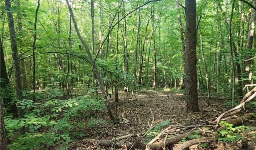 Photo #21 of River Bluff Farms, Tobaccoville, NC 15.6 acres
