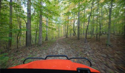 Miles of named trails weave throughout the property, including the historic Wagon Road dating back to the Revolutionary War era