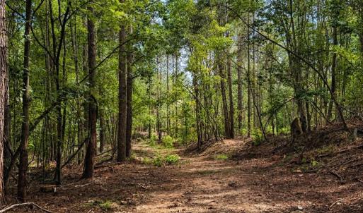 Photo #27 of Jennings, Randleman, NC 74.3 acres