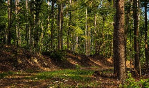 Photo #6 of Jennings, Randleman, NC 74.3 acres
