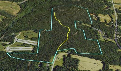 Photo #13 of Jennings, Randleman, NC 74.3 acres