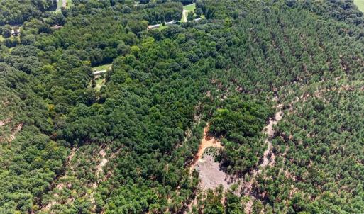 Photo #17 of Jennings, Randleman, NC 74.3 acres