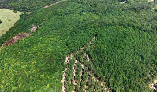 Photo #16 of Jennings, Randleman, NC 74.3 acres
