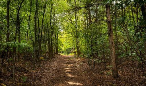 Photo #12 of Jennings, Randleman, NC 74.3 acres