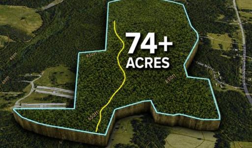 Photo #1 of Jennings, Randleman, NC 74.3 acres