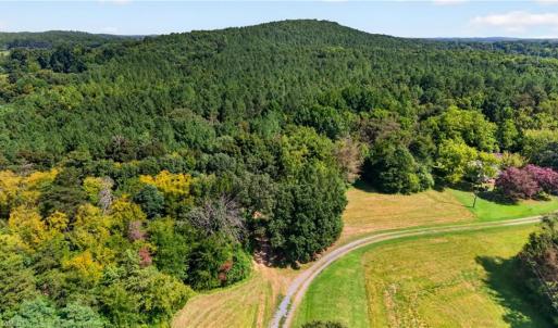 Photo #5 of Jennings, Randleman, NC 74.3 acres