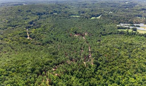 Photo #20 of Jennings, Randleman, NC 74.3 acres