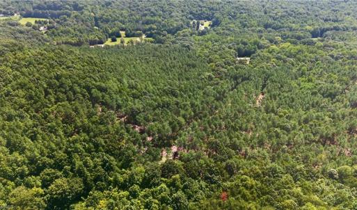 Photo #9 of Jennings, Randleman, NC 74.3 acres