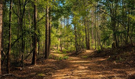 Photo #24 of Jennings, Randleman, NC 74.3 acres