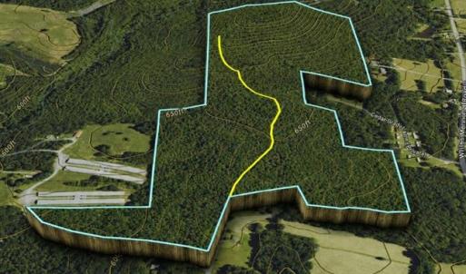 Photo #34 of Jennings, Randleman, NC 74.3 acres