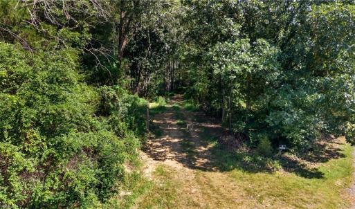 Photo #33 of Jennings, Randleman, NC 74.3 acres