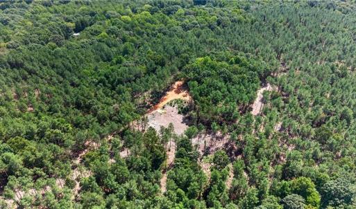 Photo #14 of Jennings, Randleman, NC 74.3 acres