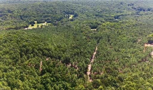 Photo #11 of Jennings, Randleman, NC 74.3 acres