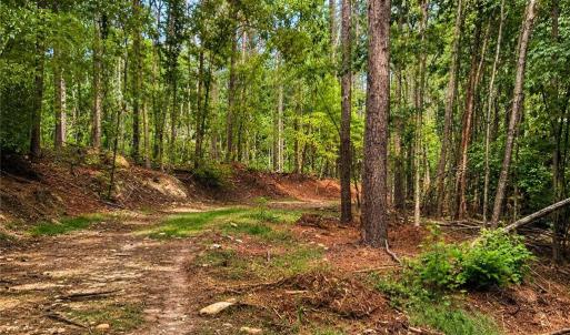 Photo #8 of Jennings, Randleman, NC 74.3 acres