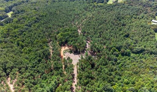 Photo #21 of Jennings, Randleman, NC 74.3 acres