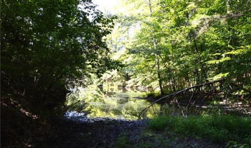 Photo #23 of 338-278 Hancock, Reidsville, NC 60.0 acres