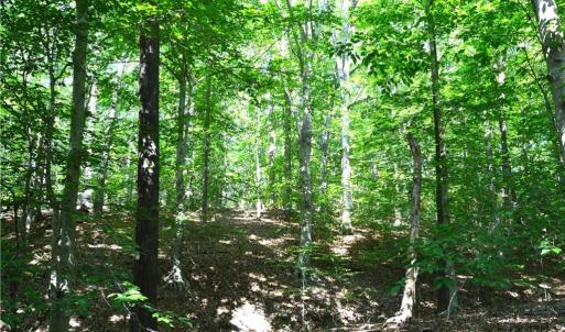 Photo #6 of 338-278 Hancock, Reidsville, NC 60.0 acres