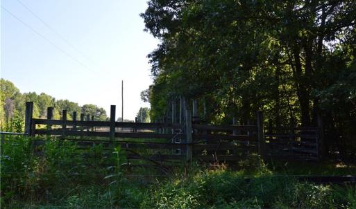 Photo #17 of 338-278 Hancock, Reidsville, NC 60.0 acres