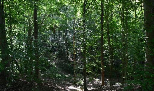Photo #12 of 338-278 Hancock, Reidsville, NC 60.0 acres