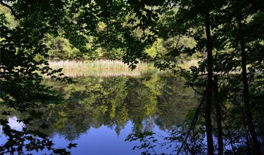 Photo #26 of 338-278 Hancock, Reidsville, NC 60.0 acres