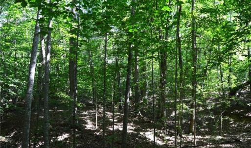Photo #22 of 338-278 Hancock, Reidsville, NC 60.0 acres