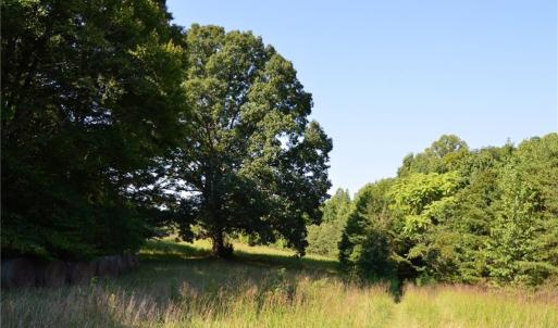 Photo #3 of 338-278 Hancock, Reidsville, NC 60.0 acres