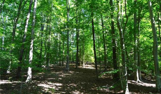 Photo #5 of 338-278 Hancock, Reidsville, NC 60.0 acres
