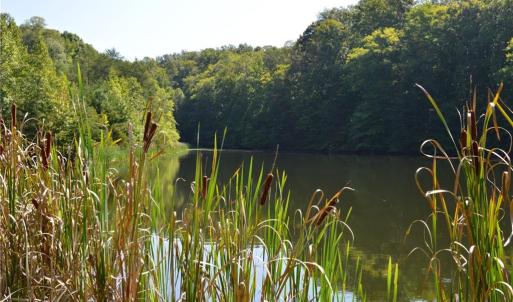 Photo #20 of 338-278 Hancock, Reidsville, NC 60.0 acres