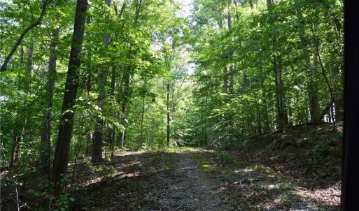 Photo #24 of 338-278 Hancock, Reidsville, NC 60.0 acres