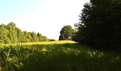 Photo #10 of 338-278 Hancock, Reidsville, NC 60.0 acres