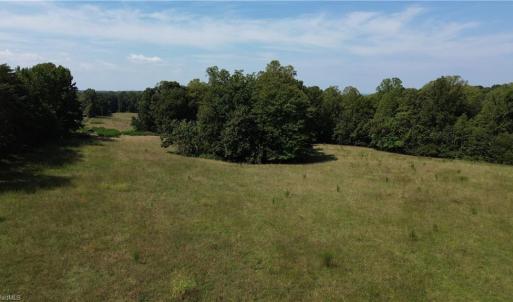 Photo #45 of 338-278 Hancock, Reidsville, NC 60.0 acres