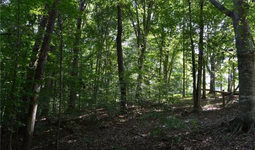 Photo #18 of 338-278 Hancock, Reidsville, NC 60.0 acres
