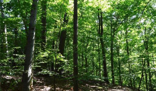 Photo #11 of 338-278 Hancock, Reidsville, NC 60.0 acres