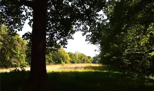 Photo #31 of 338-278 Hancock, Reidsville, NC 60.0 acres