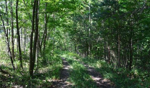 Photo #4 of 338-278 Hancock, Reidsville, NC 60.0 acres